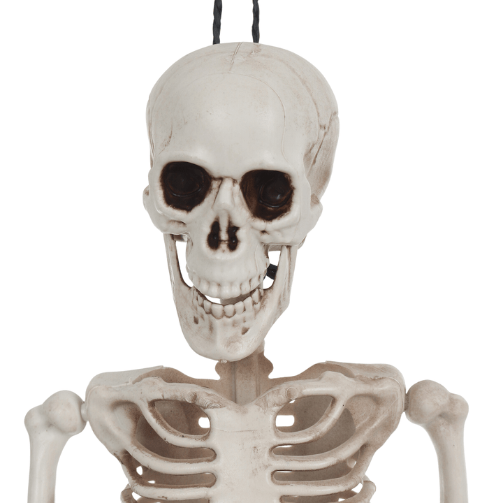detail shot of skeleton head featuring black/brown eye and nose socket