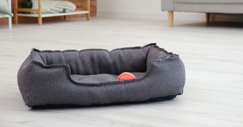Pet Beds