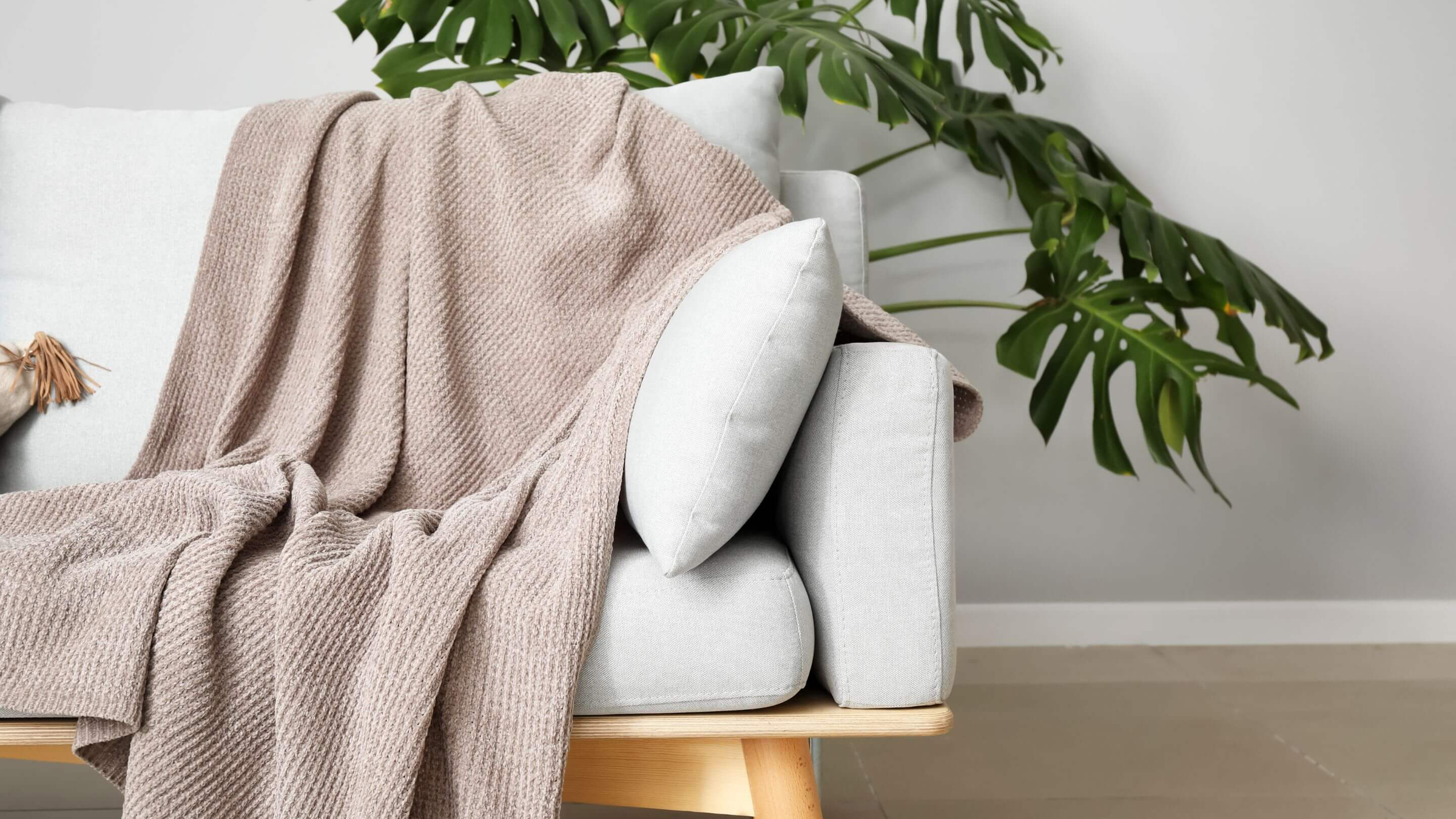 taupe coloured blanket draped across ceam coloured sofa with plant in background