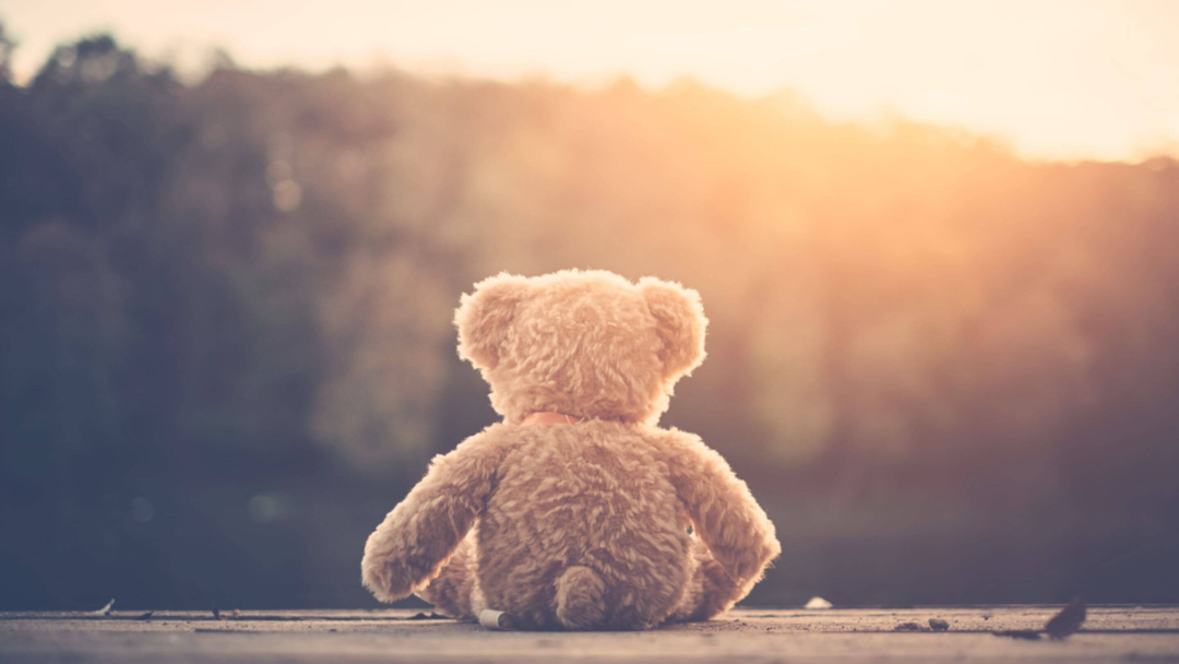 soft teddy bear sitting on bench outside at dusk