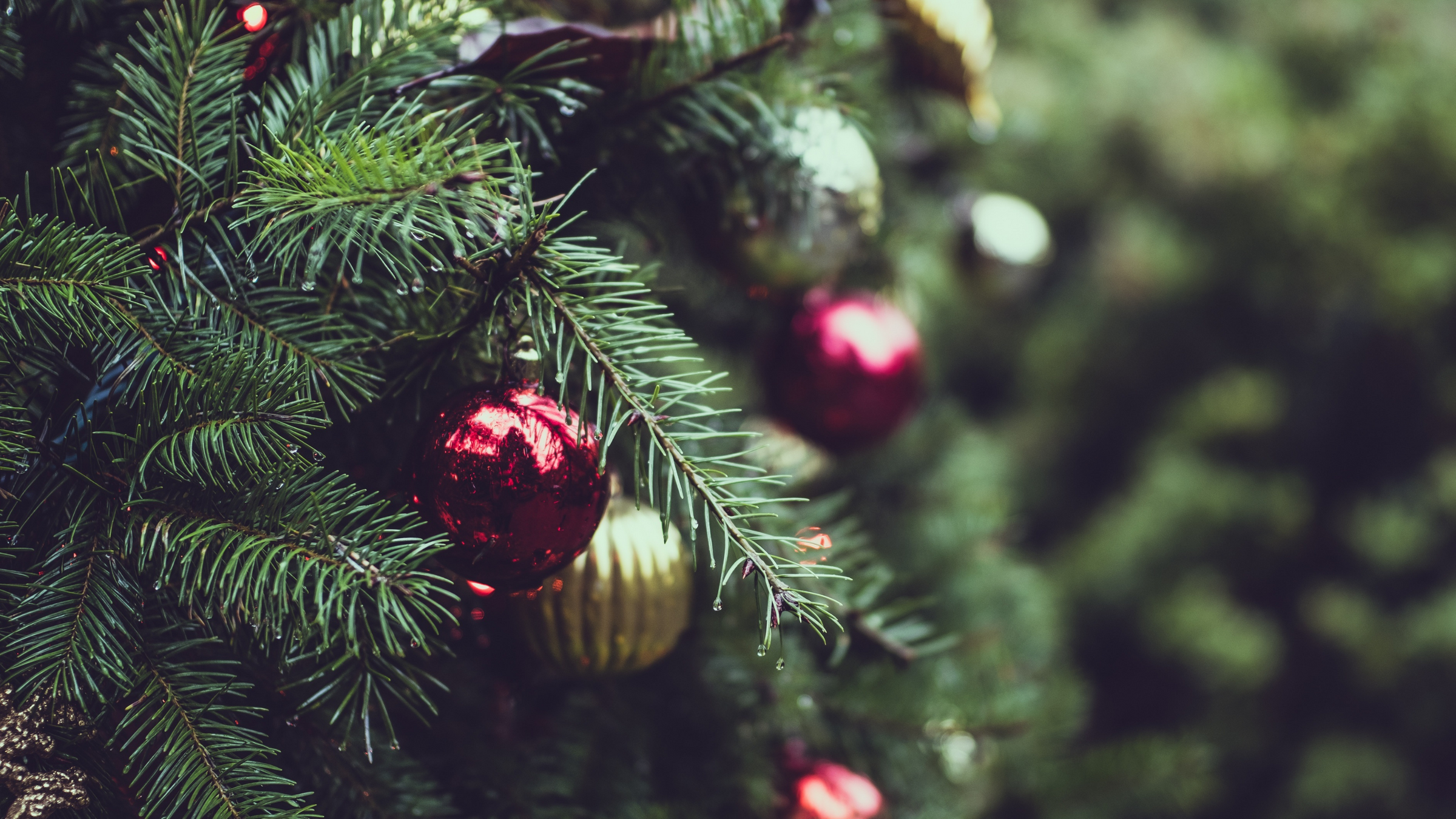 close up of artificial pine christmas tree with red and gold baubles