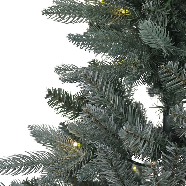 Close up of Christmas tree branches with warm white fairy lights