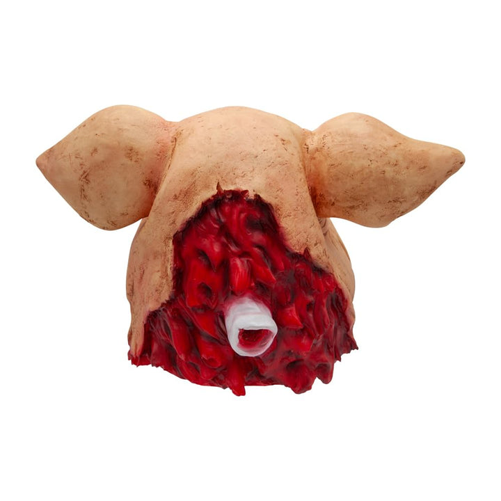 Back of a latex pig&