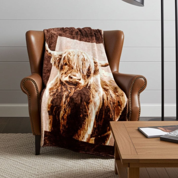 blanket throw draped over leather chair in sitting room