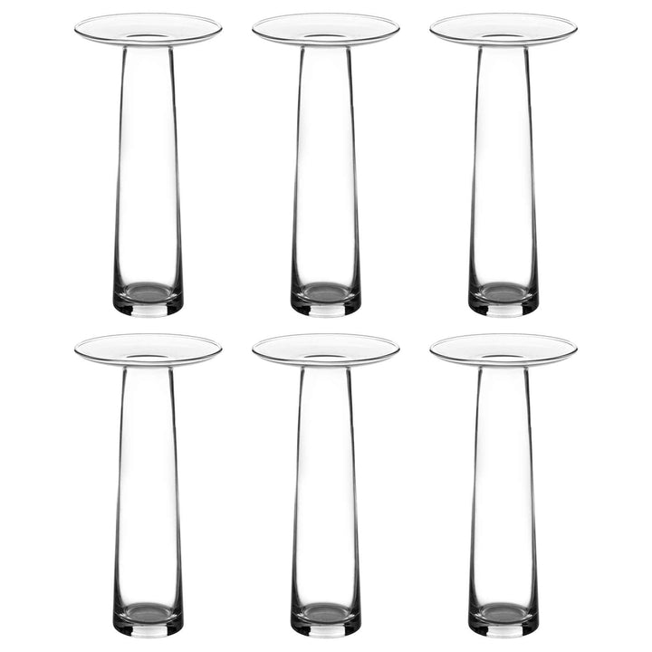 6 clear glass tall flower vases on a white background