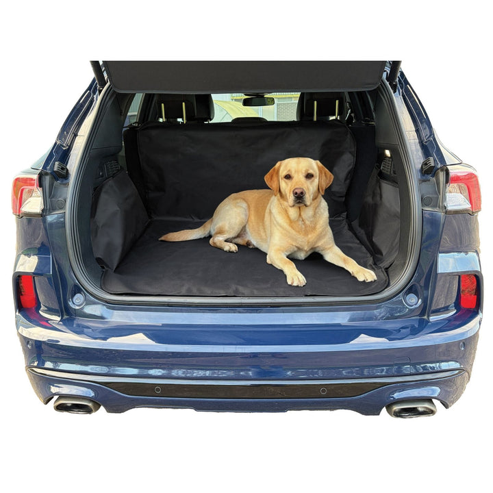 Dog sitting on a black car mat in the trunk of a blue car
