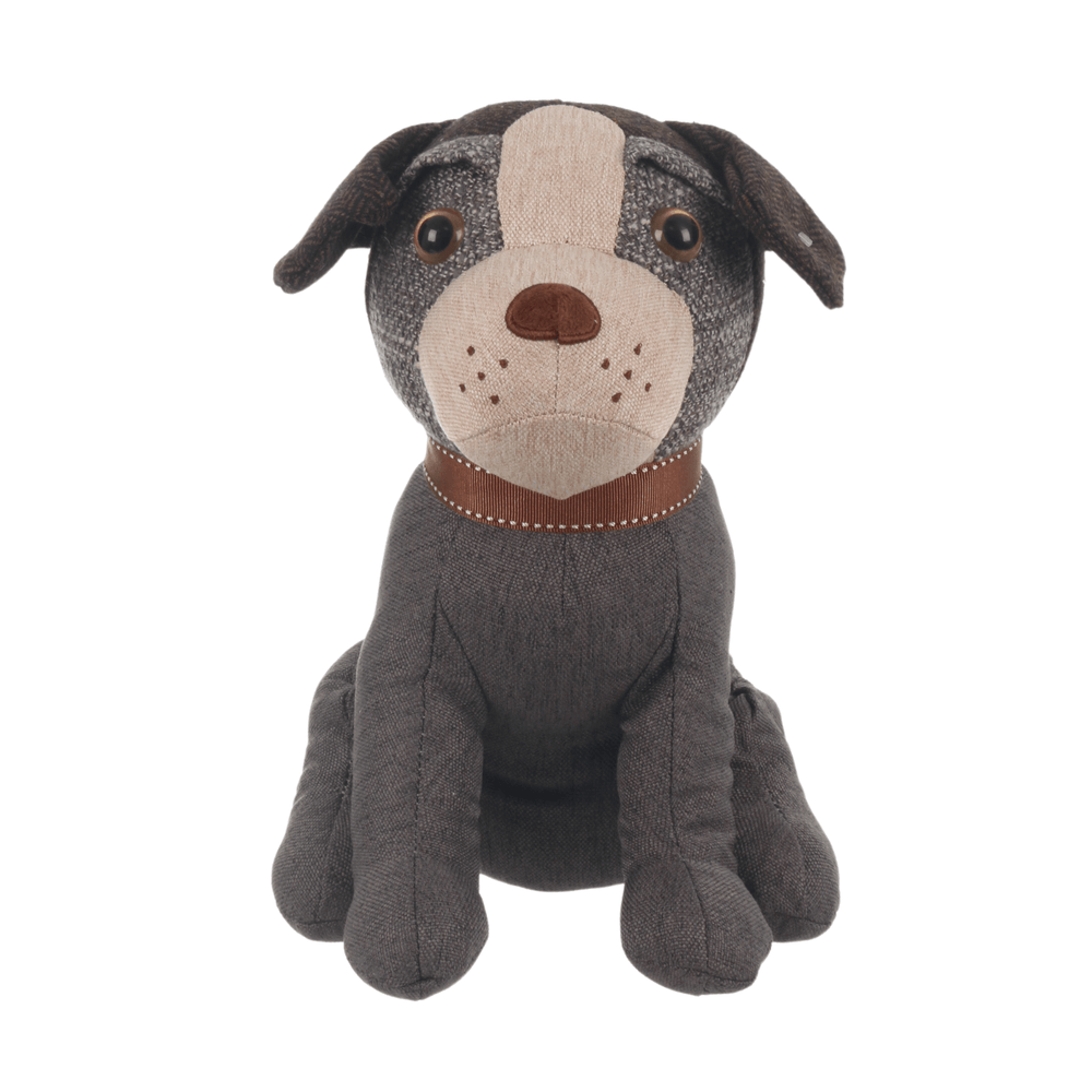 front view of grey jack russell dog with herringbone style ears