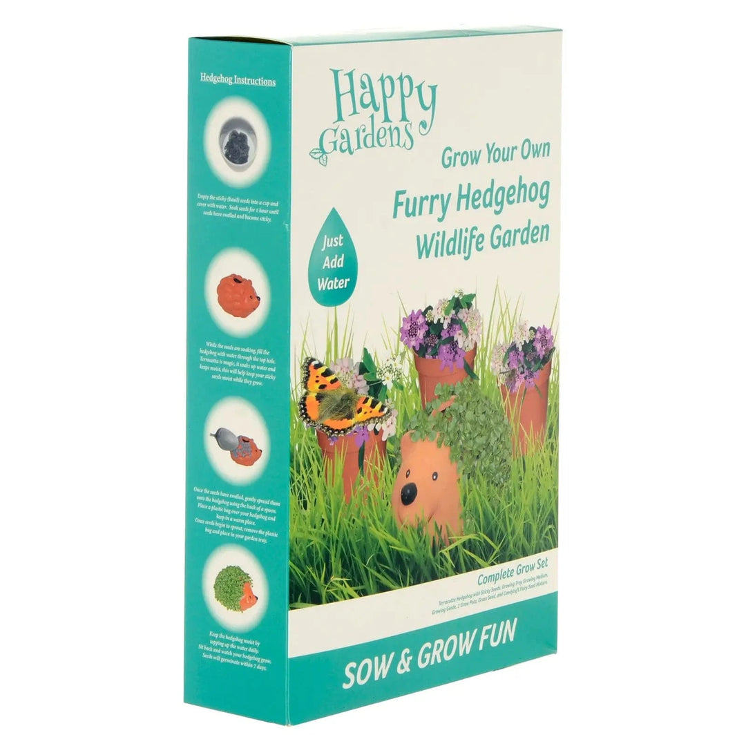 Box of Grow your own furry hedgehog wildlife garden for children