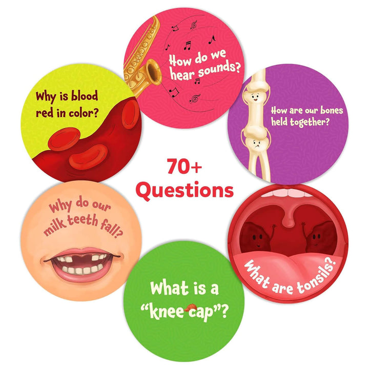 Over 70 questions on flash cards in the Science Snippets learning kit