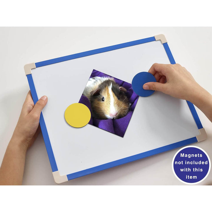 Hands interacting with a magnetic board featuring a small animal image, with a label indicating magnets are not included.