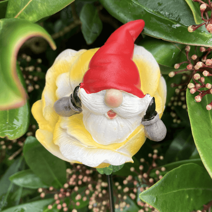 gnome stake with red hat in outdoor foliage