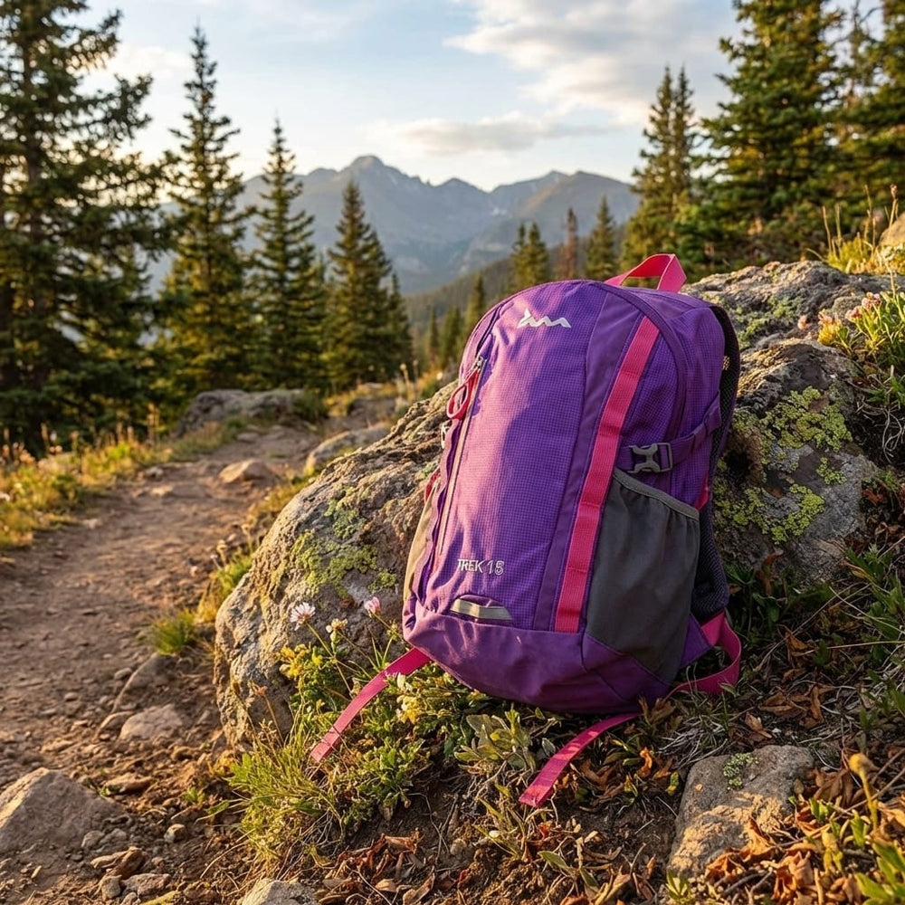Purple backpack on a rock with a mountainous landscape in the background