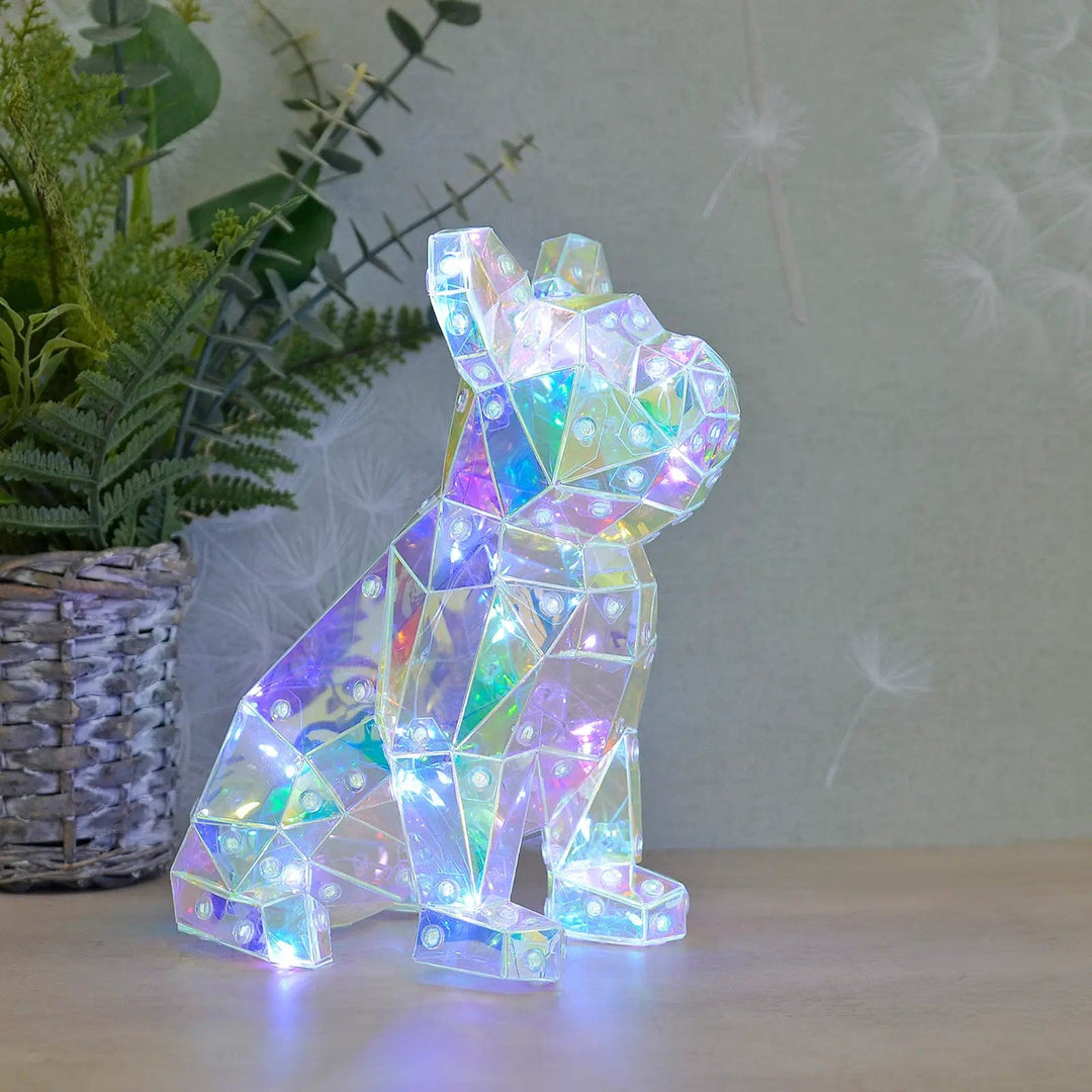 Starlightz French Bulldog shape light with coloured LEDs, on a table with basket and plant