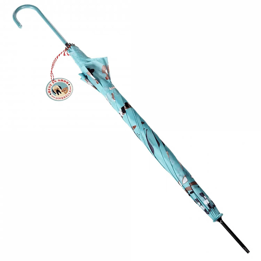 Ladies blue walking umbrella with crook style handle folded