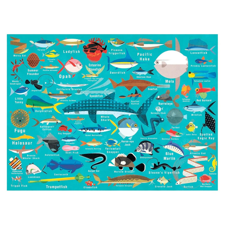 1000 piece Ocean Life jigsaw puzzle with illustrations of fish, sharks and more sea creatures