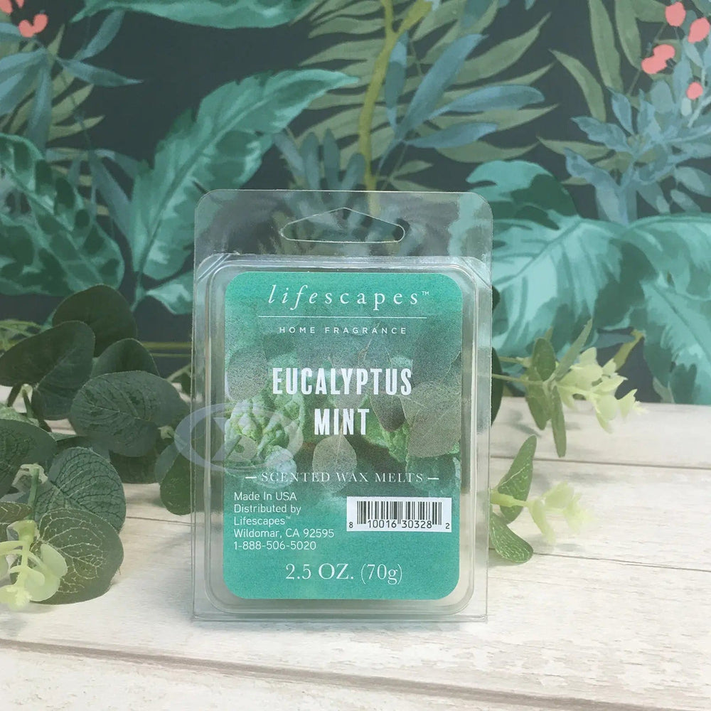 Pack of Eucalyptus Mint scented wax melts on a table with plants wallpaper