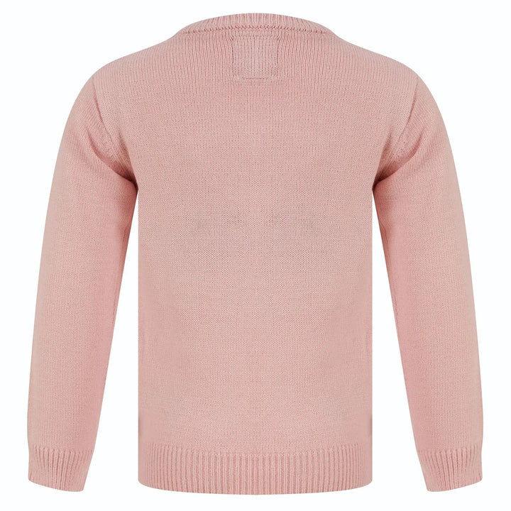 Back of a pink Christmas long sleeved jumper with round neck