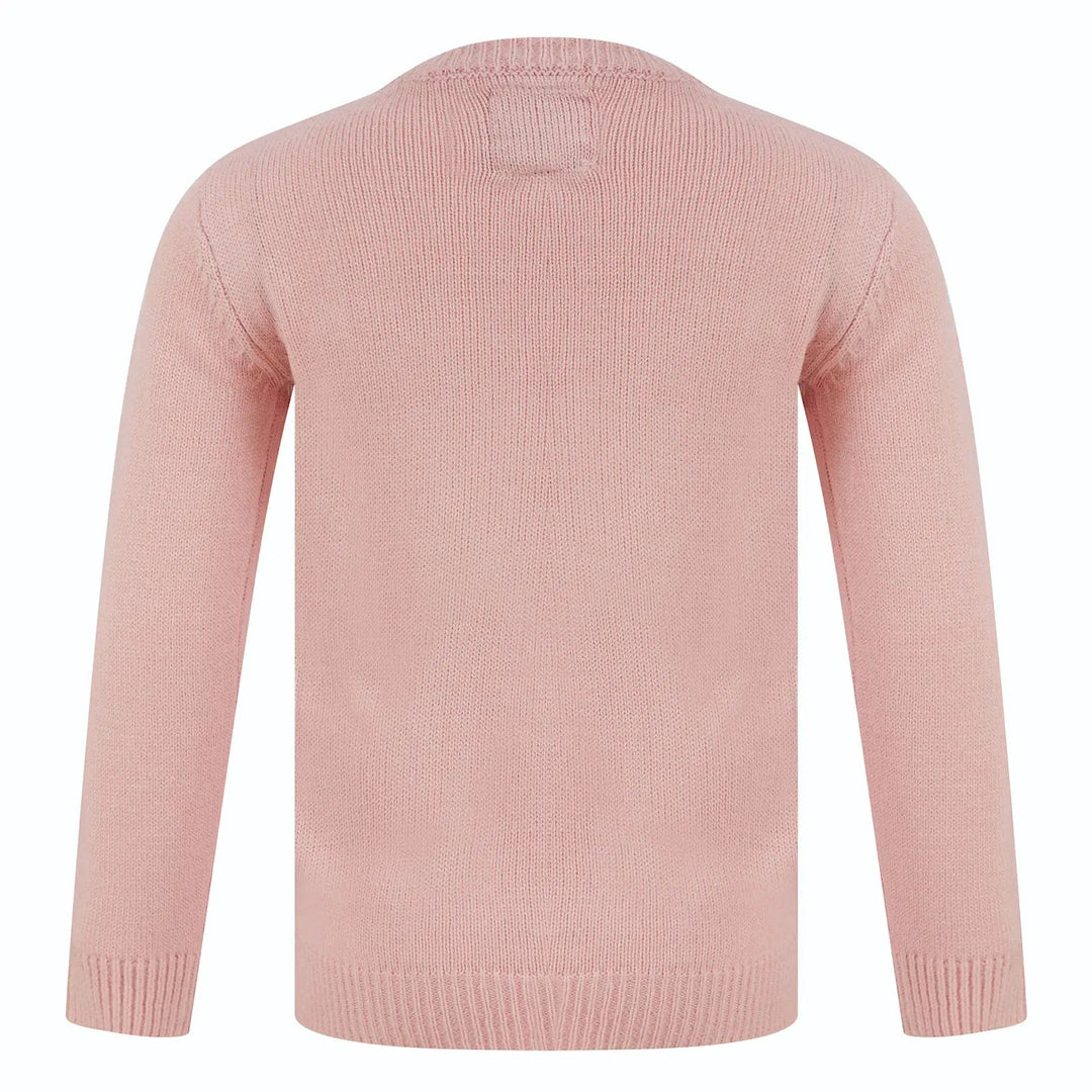 Back of a pink long sleeved jumper