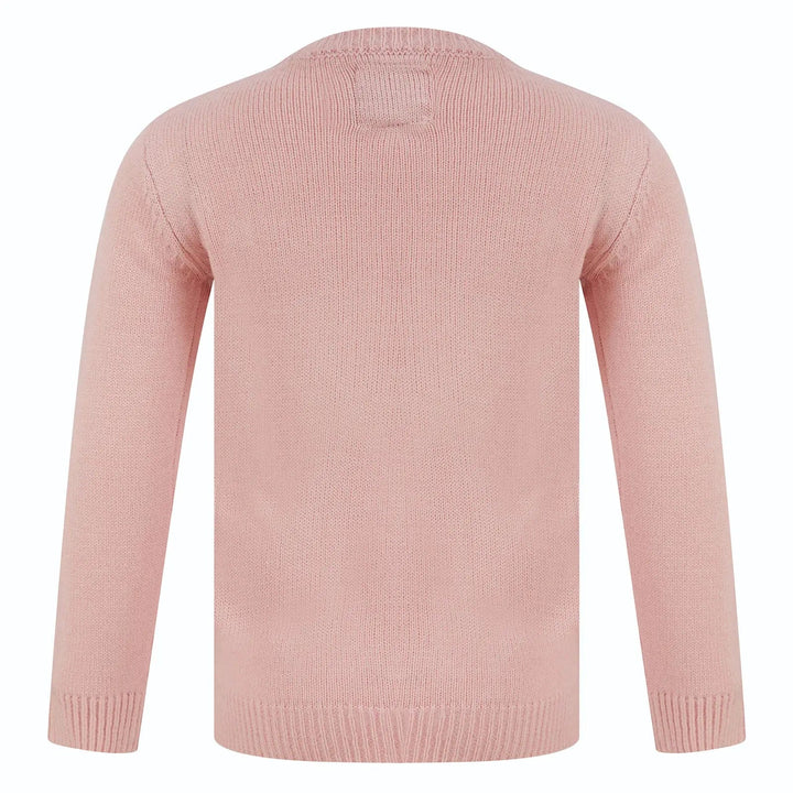 Back of a pink long sleeved jumper