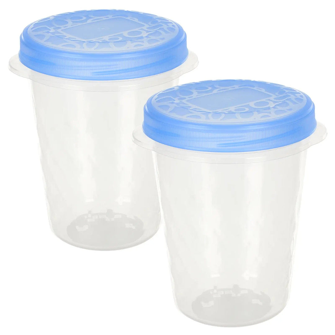 2 food storage tubs with clear plastic container and blue screw top lids