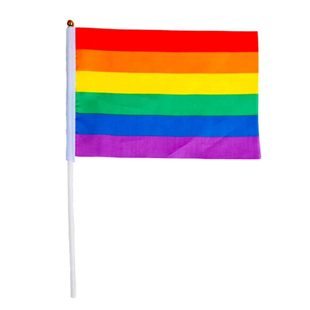 Rainbow Stick Flag Festival Pride Carnival 45x30cm