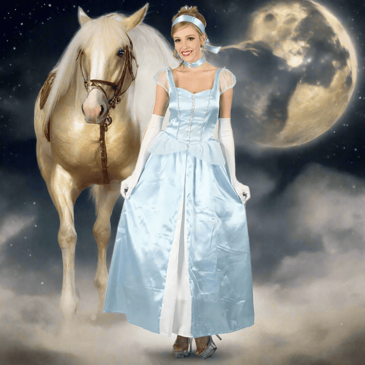 Womens Sweet Cinders Cinderella Princess Halloween Costume