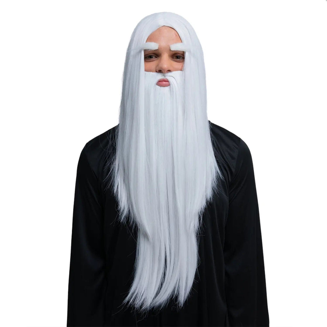 Man dressed as a wizard with black robe and long white hair and beard