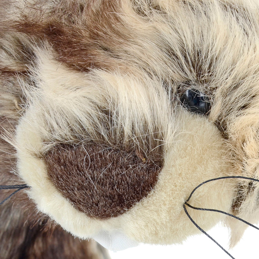 Close up of the eye and nose and whiskers of a furry animal hat