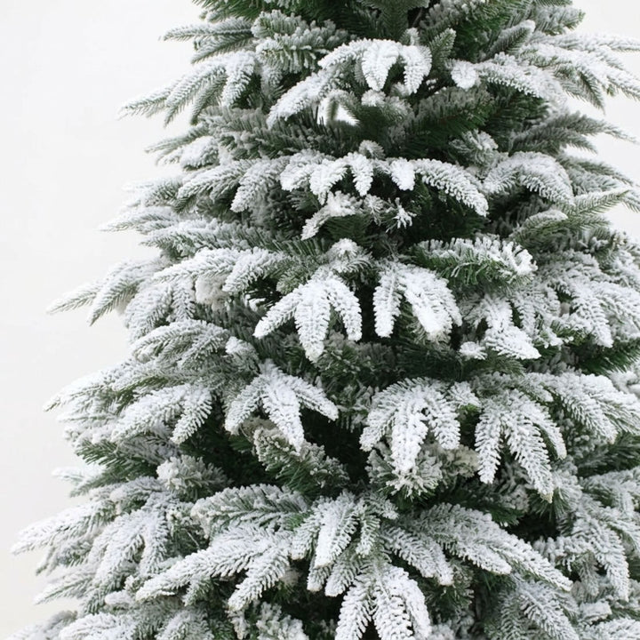 Frosted Christmas tree with snow on branches against a white background