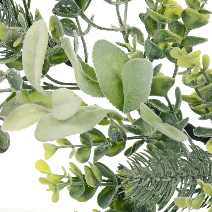 Close up of velvety lamb's ear plant leaves and spruce branch on a seasonal garland