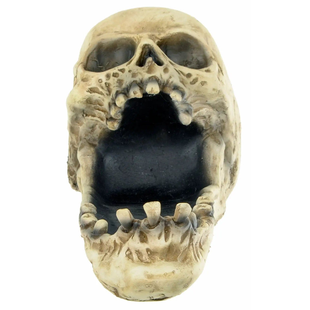 Face on view of halloween Skull candy holder with crooked jaw and teeth