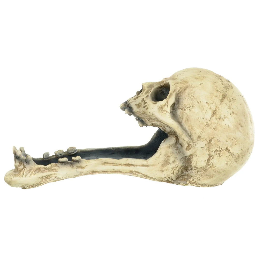 Side view of creepy Halloween skull candy holder with long jaw tray