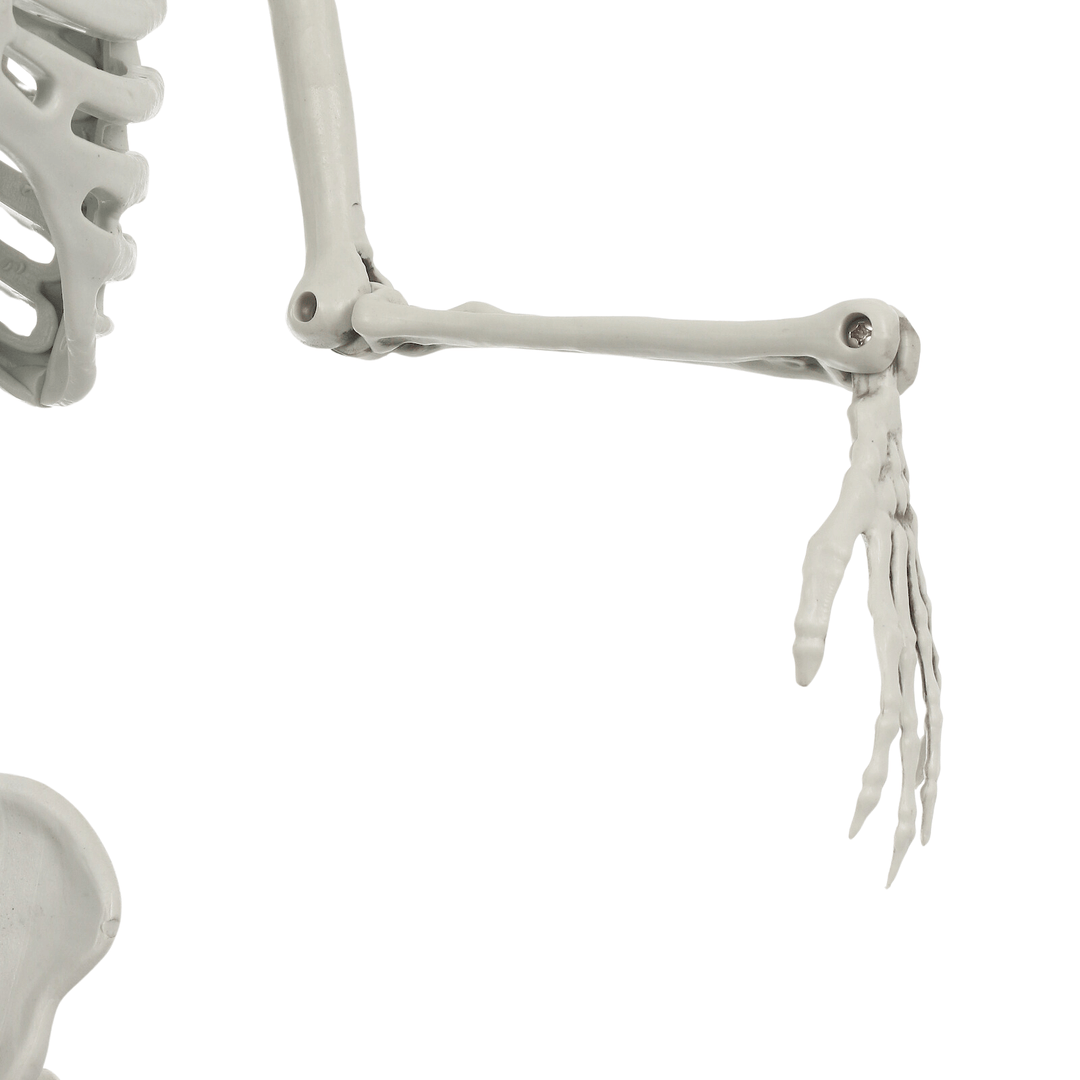 detail shot of poseable arms with screws to allow for pose