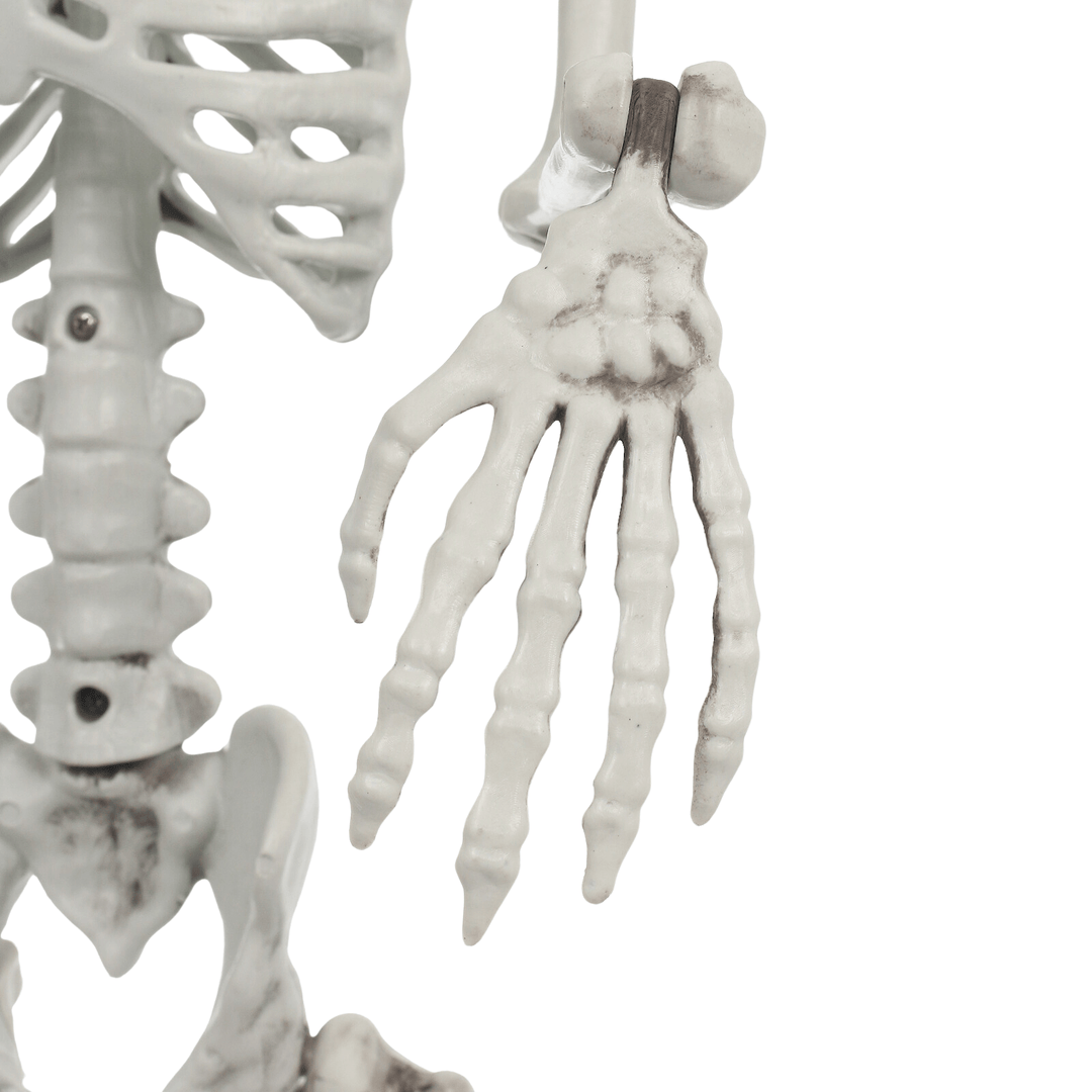 Poseable Jointed Skeleton Halloween Prop Party Decoration 84cm