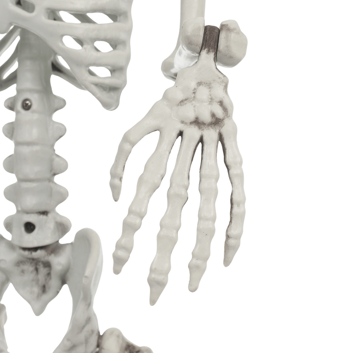 Poseable Jointed Skeleton Halloween Prop Party Decoration 84cm
