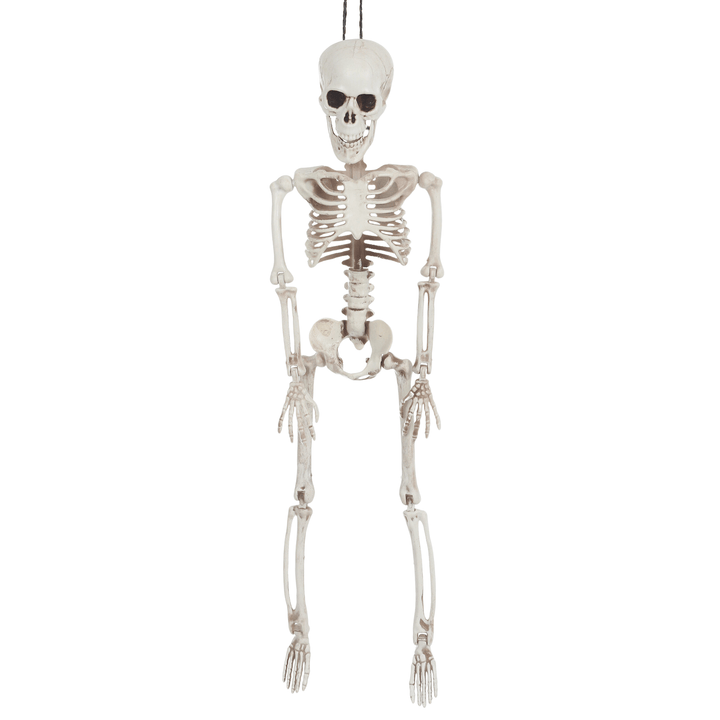 84cm skeleton with realistic details on white background