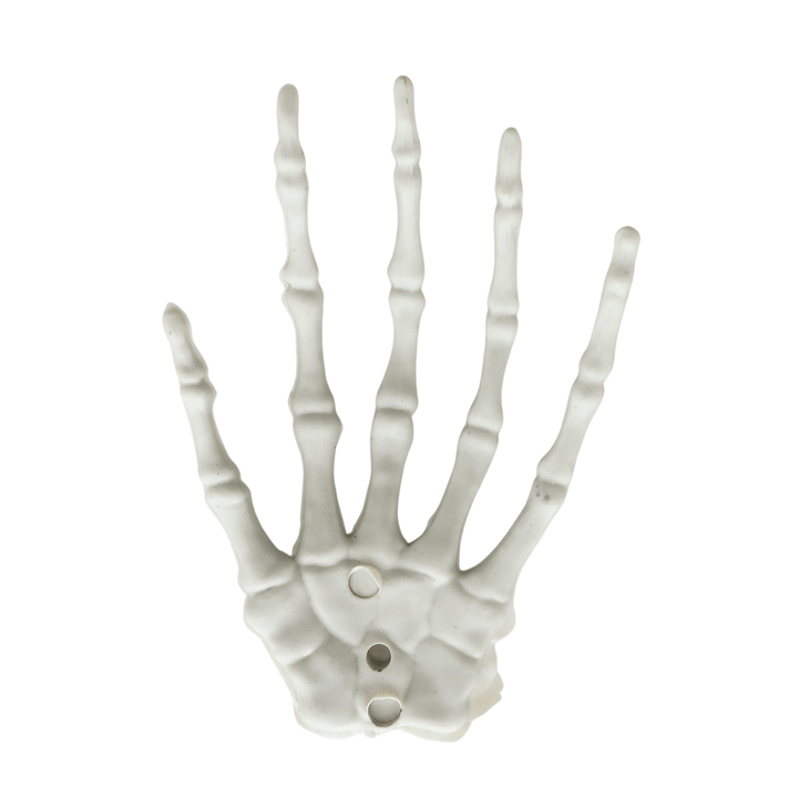 back view of skeleton hand decoration
