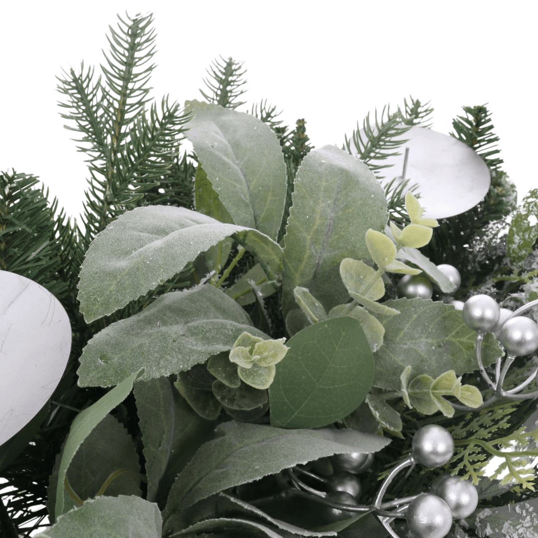 detail shot of snow covered leaves