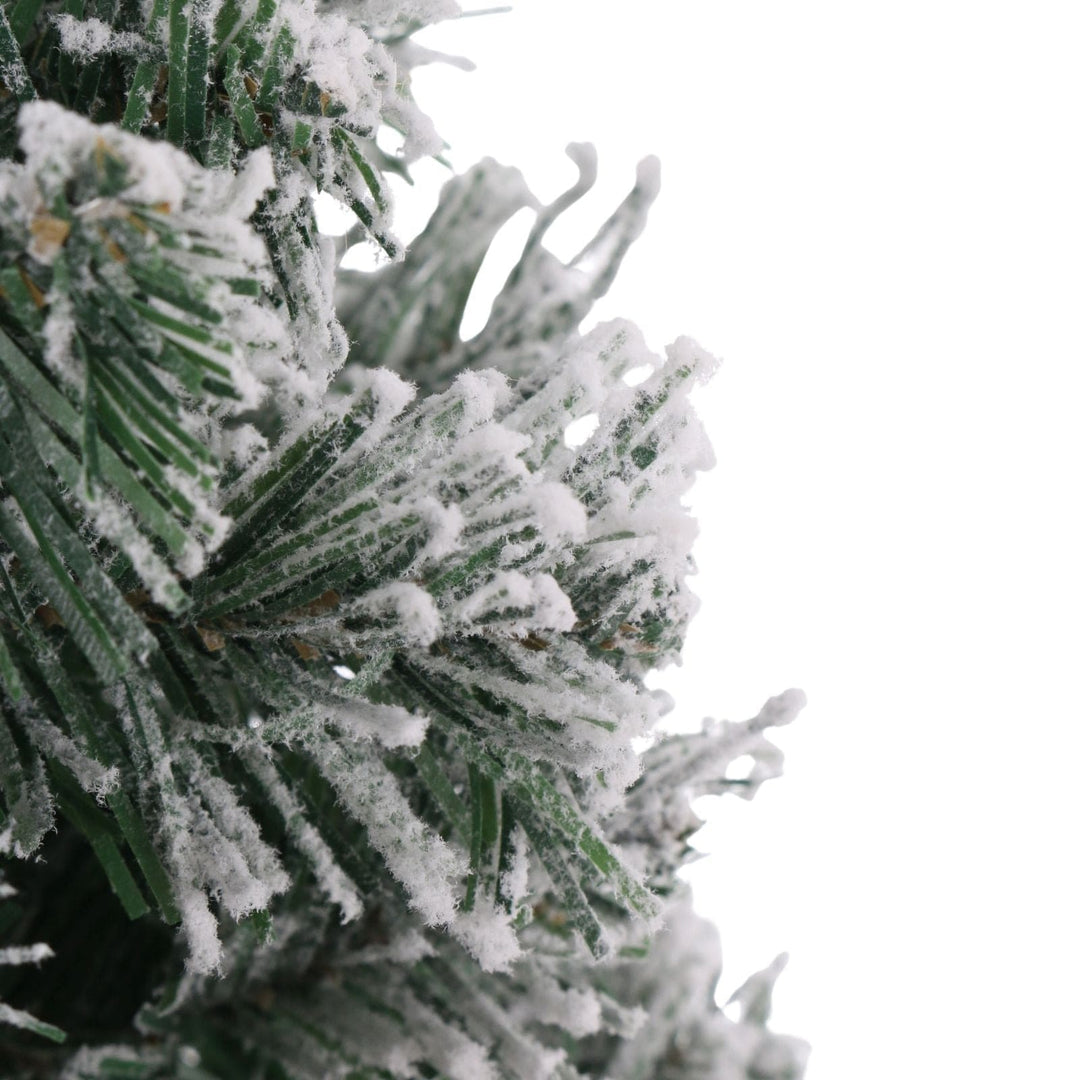Frost-covered pine branches on a white background