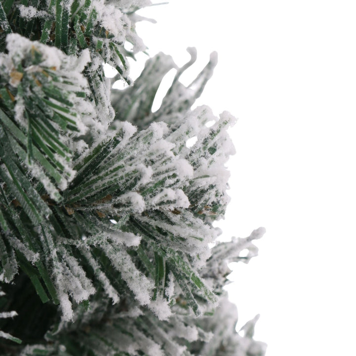 Frost-covered pine branches on a white background