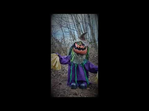 4ft Animated Dancing Pumpkin Scarecrow Lights Sounds Decoration