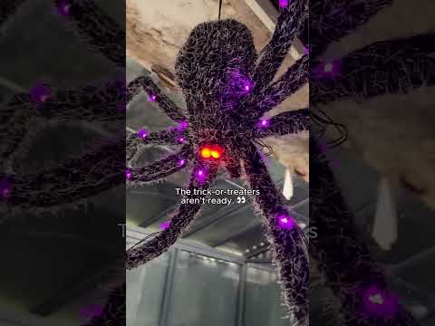 5ft LED Giant Spider Outdoor Halloween Prop Purple Red Lights