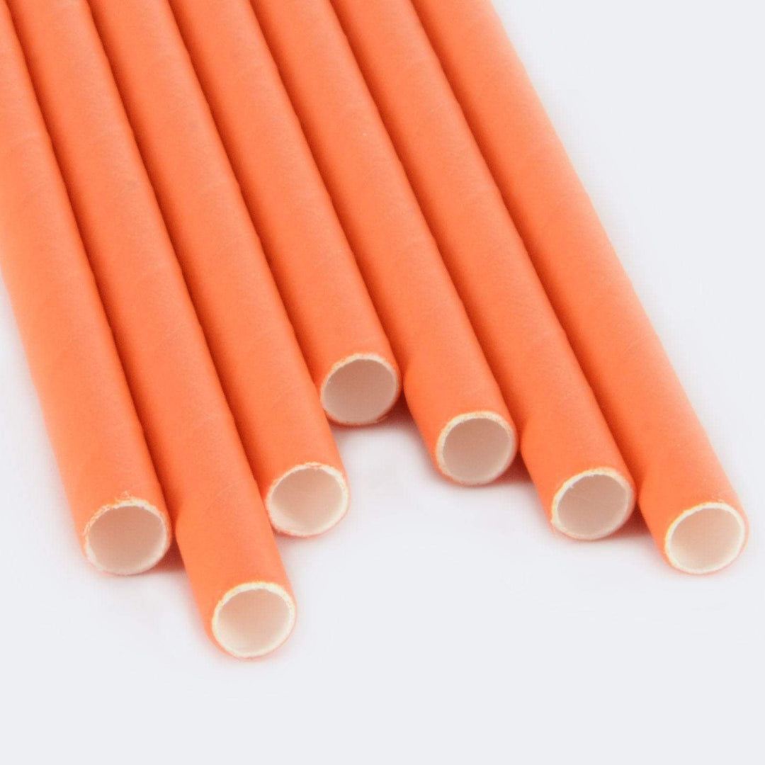 250 Eco Friendly Recyclable Paper Straws Bright Colours Orange