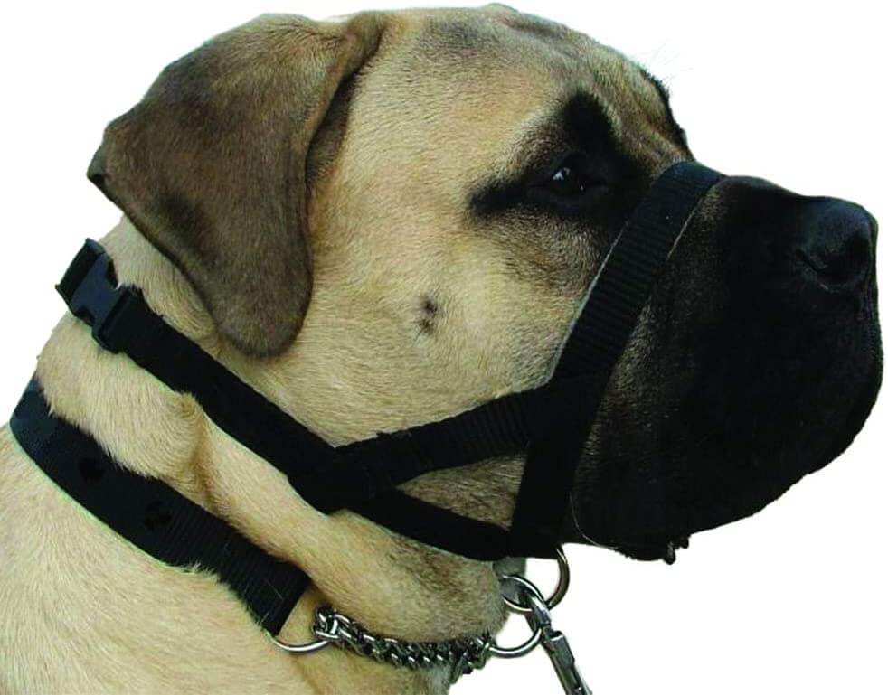 Kumfi Dogalter Canine Head Collar Training Halter Anti Pulling