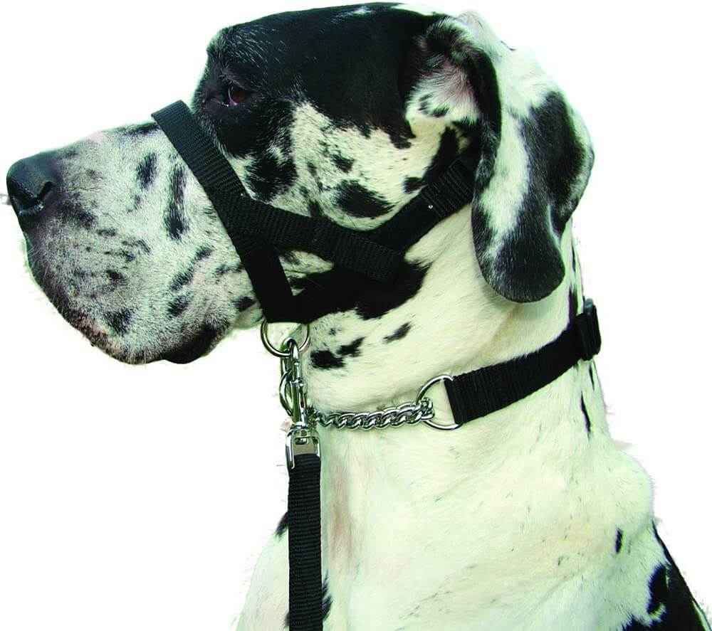 Kumfi Dogalter Canine Head Collar Training Halter Anti Pulling