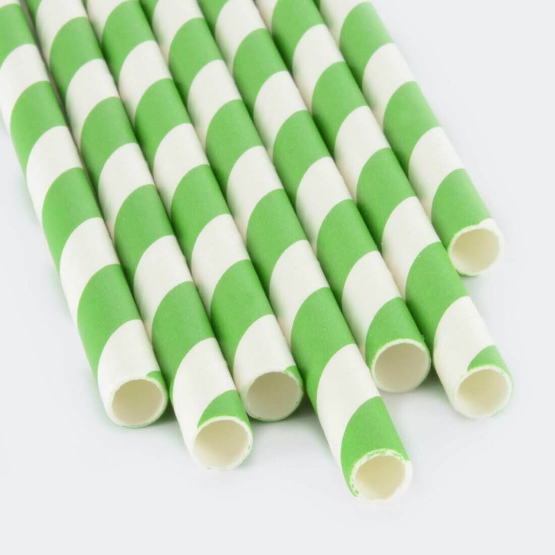 250 Eco Friendly Recyclable Paper Straws Bright Colours