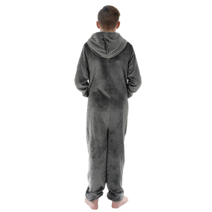 Kids All in One Pyjamas Fleece Hooded Sleep Suit Nightwear