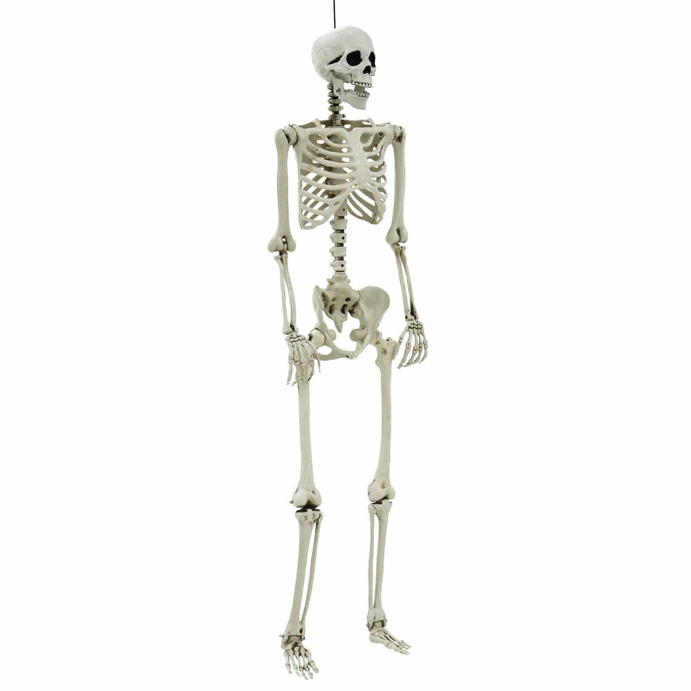 Life Size Poseable Skeleton Halloween Decoration Party Prop 152cm