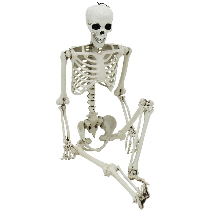 Life Size Poseable Skeleton Halloween Decoration Party Prop 152cm