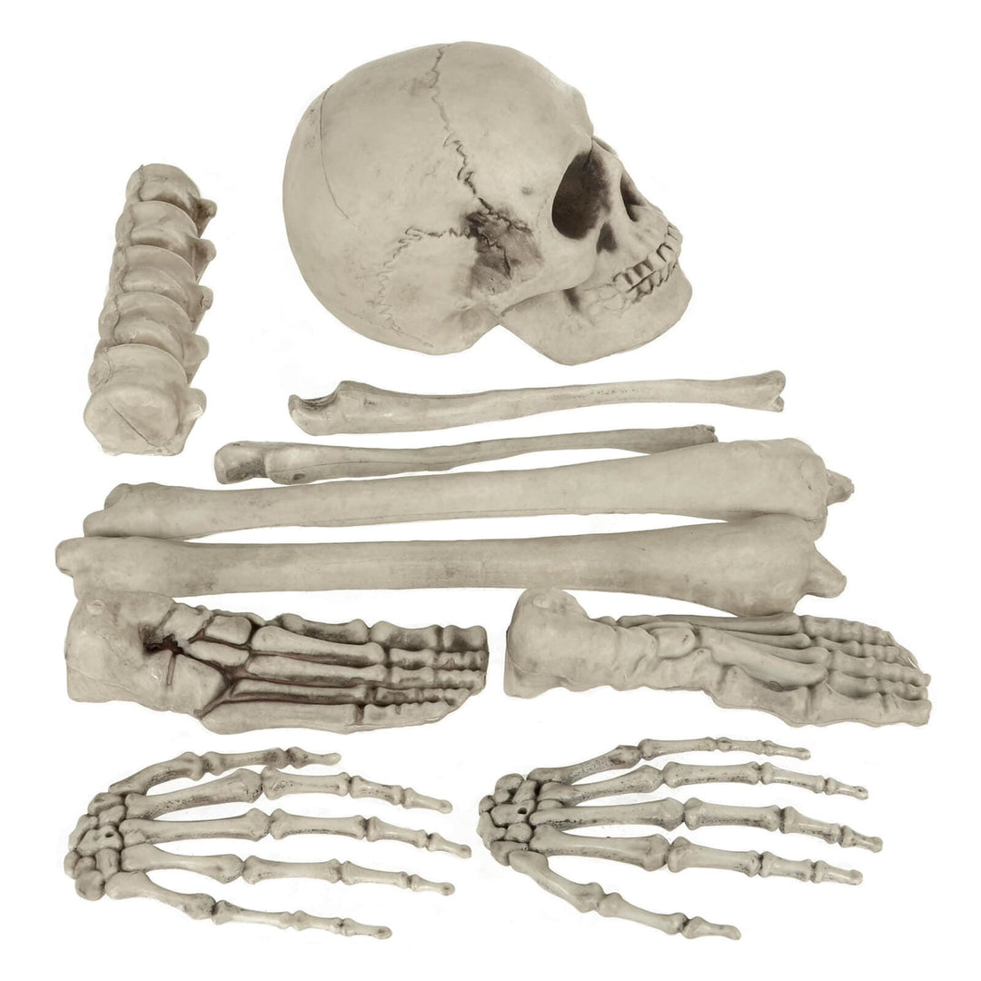 10pc Skeleton Bones Set Graveyard Tomb Props Party Decoration